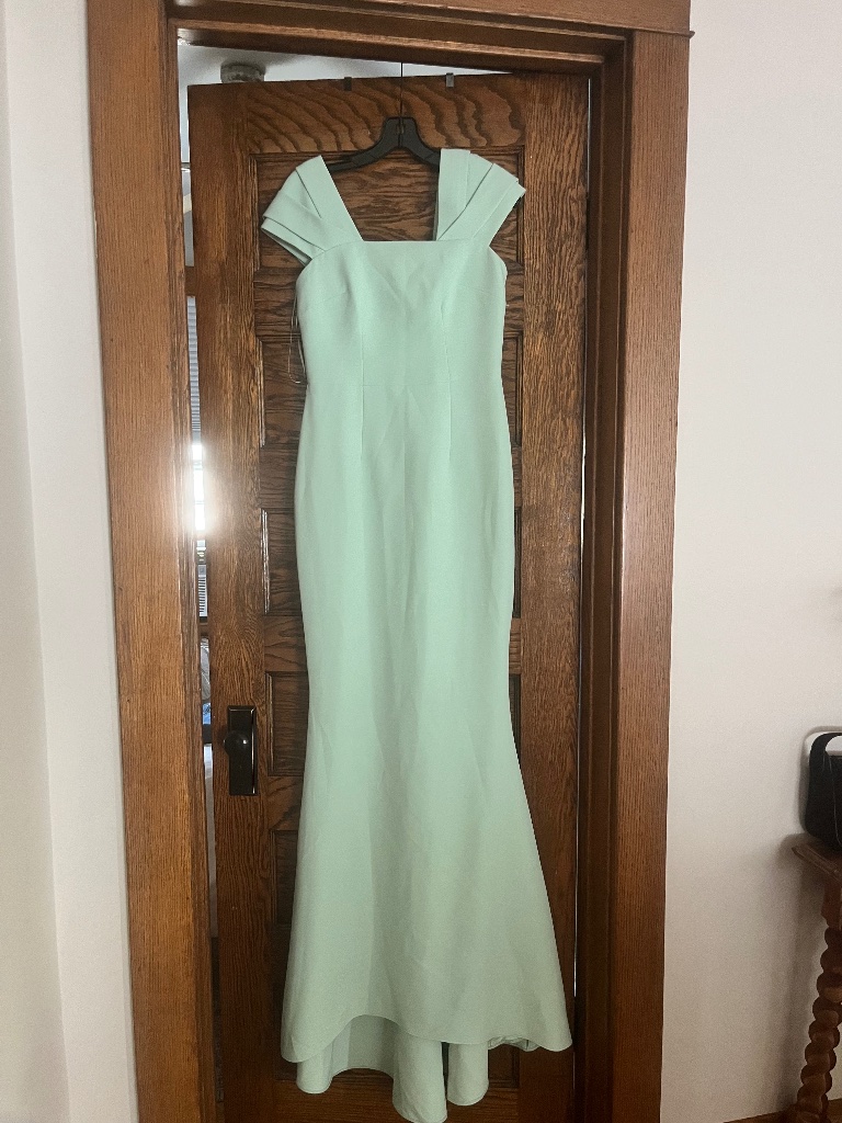 Stunning Mint Safiyaa Evening Gown, Never Worn! Size 6